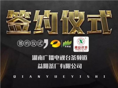 湘益茯，美茗揚(yáng) 丨湘益茯茶與茶頻道達(dá)成長期戰(zhàn)略合作