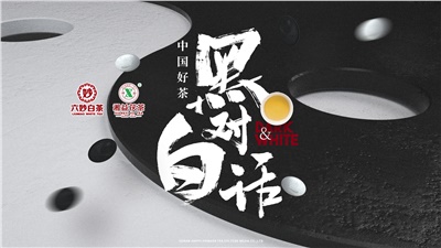 首屆黑白對話高峰論壇圓滿落幕！湘益茯茶備受關(guān)注！
