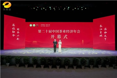 【聚焦第二十屆中國茶業(yè)經(jīng)濟年會】益陽茶廠榮獲“民族團結互助企業(yè)”、“2024年度茶業(yè)重點企業(yè)”榮譽稱號