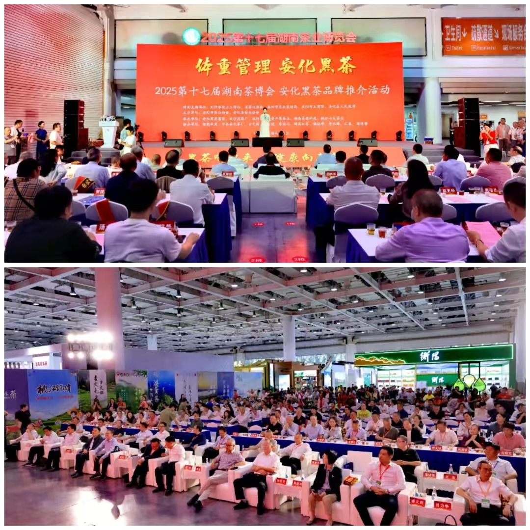 破局邊銷二十載，開啟茯茶新紀(jì)元——湘益茯茶“紀(jì)廿”新品璀璨發(fā)布